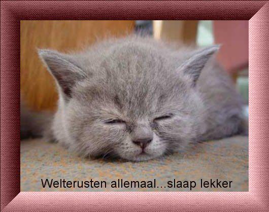 kat-welterusten.jpg